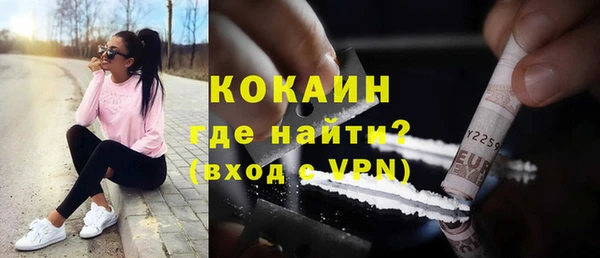 хмурый Абаза