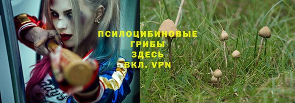 хмурый Абаза