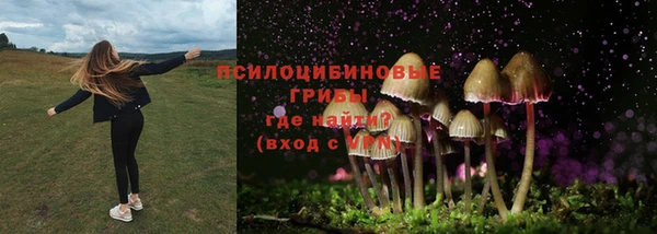 эйфоретик Абдулино