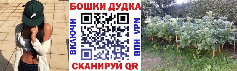 МАРИХУАНА семена  Зарайск 